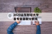 2020山东财经大学各专业录取分数线