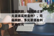 司藤网剧，如何通过多元渠道实现盈利？，司藤网剧，多元渠道盈利策略探究