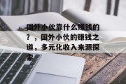 国外小伙靠什么赚钱的？，国外小伙的赚钱之道，多元化收入来源探索