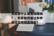 农民靠什么能有钱赚钱？，农民如何通过多种途径实现财富增长？