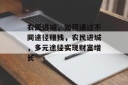 农民进城，如何通过不同途径赚钱，农民进城，多元途径实现财富增长