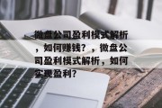 微盘公司盈利模式解析，如何赚钱？，微盘公司盈利模式解析，如何实现盈利？