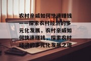 农村亲戚如何快速赚钱——探索农村经济的多元化发展，农村亲戚如何快速赚钱，探索农村经济的多元化发展之道