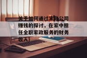 关于如何通过家政公司赚钱的探讨，在家中担任全职家政服务的财务收入}