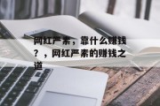 网红严素，靠什么赚钱？，网红严素的赚钱之道