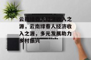 云南绿春人经济收入之源，云南绿春人经济收入之源，多元发展助力乡村振兴