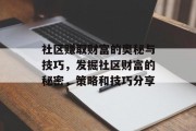 社区赚取财富的奥秘与技巧，发掘社区财富的秘密，策略和技巧分享