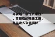 苏新皓，靠什么赚钱？，苏新皓的赚钱之道，多元收入来源揭秘