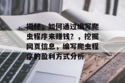 揭秘，如何通过编写爬虫程序来赚钱？，挖掘网页信息，编写爬虫程序的盈利方式分析