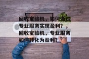 回收宝验机，如何通过专业服务实现盈利？，回收宝验机，专业服务如何转化为盈利？