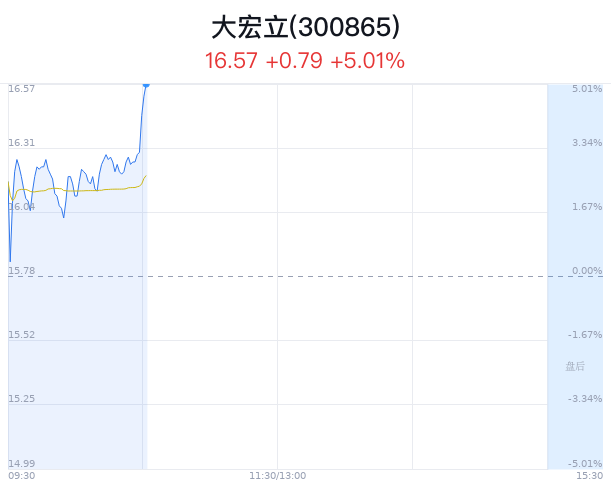 大宏立股价上涨5.01% 主力净流出21万元