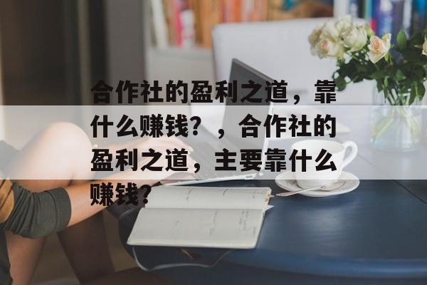 合作社的盈利之道，靠什么赚钱？，合作社的盈利之道，主要靠什么赚钱？