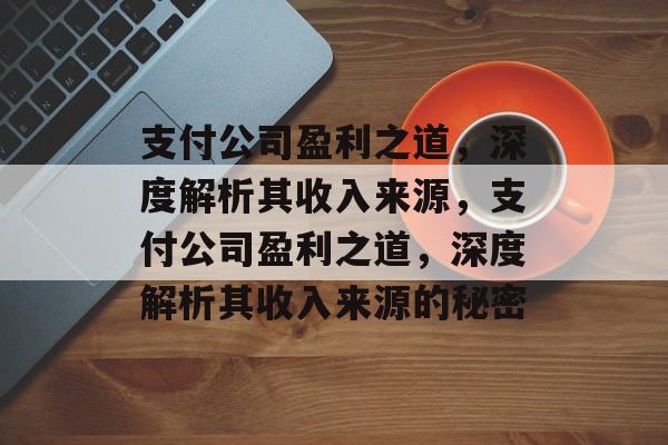 支付公司盈利之道，深度解析其收入来源，支付公司盈利之道，深度解析其收入来源的秘密