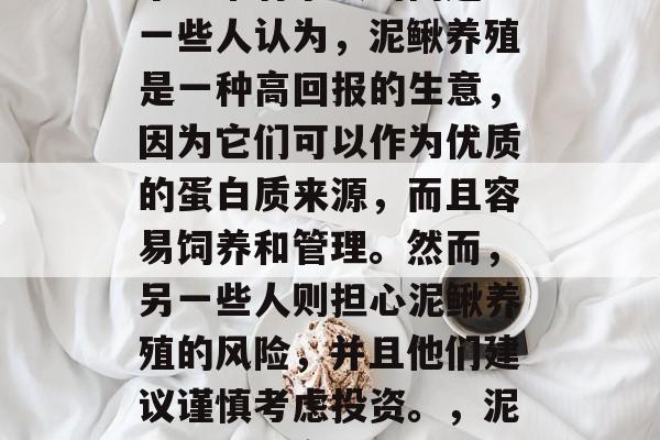 养泥鳅赚钱吗？这是一个非常有争议的问题。一些人认为，泥鳅养殖是一种高回报的生意，因为它们可以作为优质的蛋白质来源，而且容易饲养和管理。然而，另一些人则担心泥鳅养殖的风险，并且他们建议谨慎考虑投资。，泥鳅养殖，高回报还是风险？