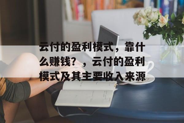 云付的盈利模式，靠什么赚钱？，云付的盈利模式及其主要收入来源