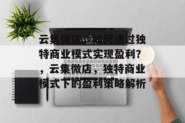 云集微店，如何通过独特商业模式实现盈利？，云集微店，独特商业模式下的盈利策略解析