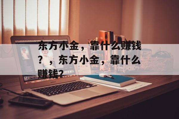 东方小金，靠什么赚钱？，东方小金，靠什么赚钱？