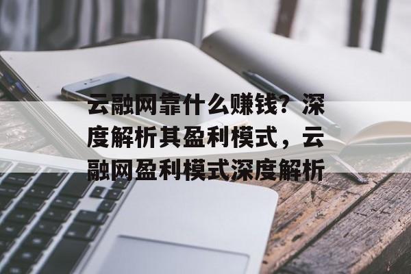 云融网靠什么赚钱？深度解析其盈利模式，云融网盈利模式深度解析