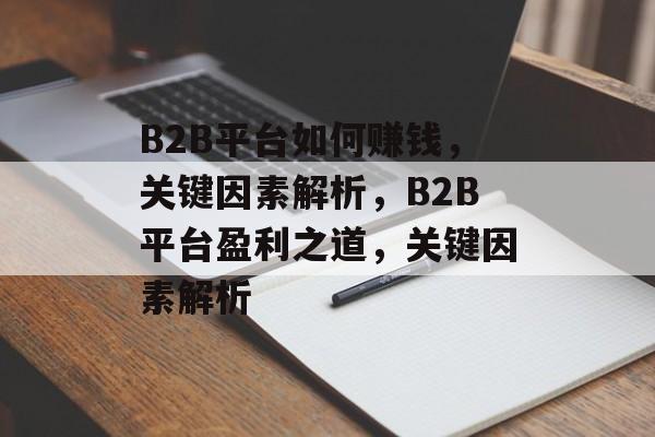 B2B平台如何赚钱，关键因素解析，B2B平台盈利之道，关键因素解析