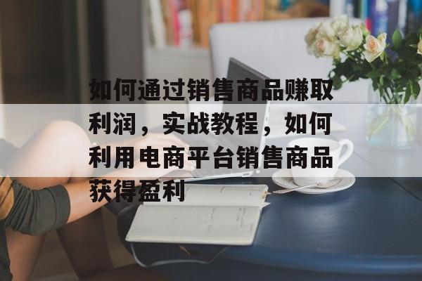 如何通过销售商品赚取利润，实战教程，如何利用电商平台销售商品获得盈利