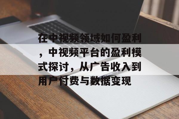 在中视频领域如何盈利，中视频平台的盈利模式探讨，从广告收入到用户付费与数据变现