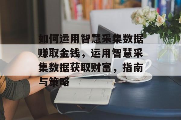 如何运用智慧采集数据赚取金钱，运用智慧采集数据获取财富，指南与策略