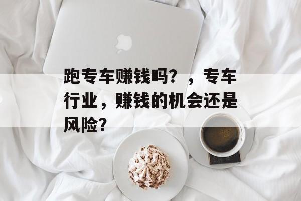 跑专车赚钱吗？，专车行业，赚钱的机会还是风险？