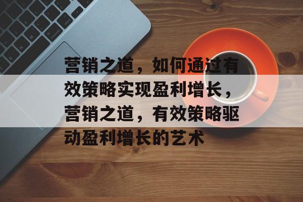 营销之道，如何通过有效策略实现盈利增长，营销之道，有效策略驱动盈利增长的艺术