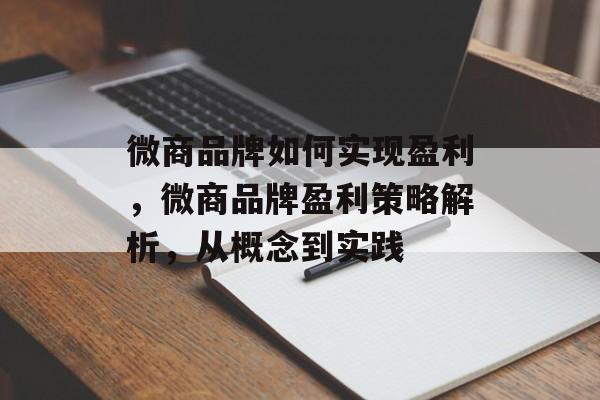 微商品牌如何实现盈利，微商品牌盈利策略解析，从概念到实践