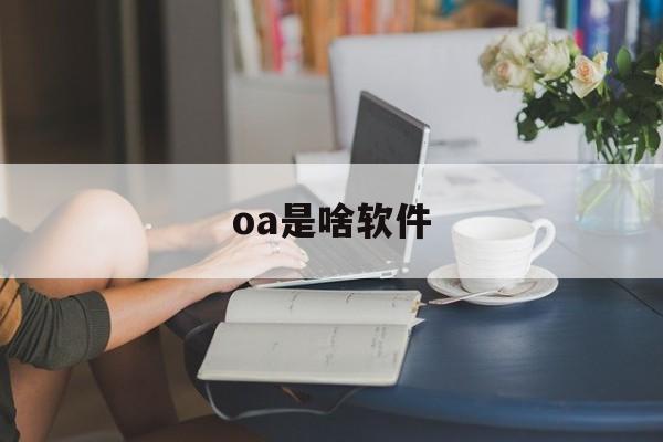 oa是啥软件