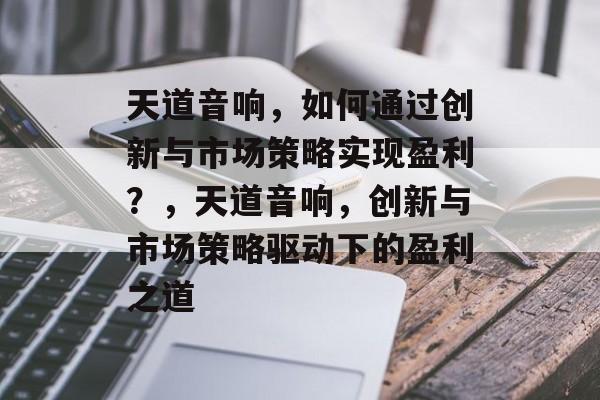 天道音响，如何通过创新与市场策略实现盈利？，天道音响，创新与市场策略驱动下的盈利之道