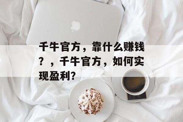 千牛官方，靠什么赚钱？，千牛官方，如何实现盈利？