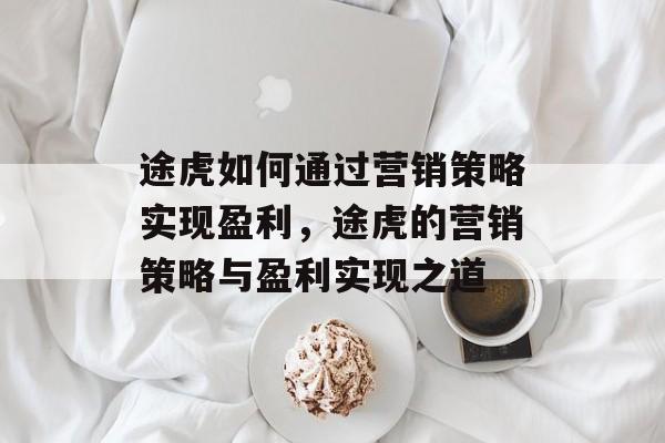 途虎如何通过营销策略实现盈利，途虎的营销策略与盈利实现之道