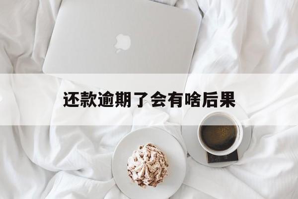 还款逾期了会有啥后果