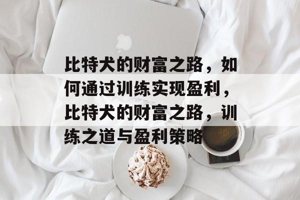 比特犬的财富之路，如何通过训练实现盈利，比特犬的财富之路，训练之道与盈利策略