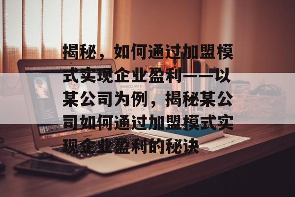 揭秘，如何通过加盟模式实现企业盈利——以某公司为例，揭秘某公司如何通过加盟模式实现企业盈利的秘诀