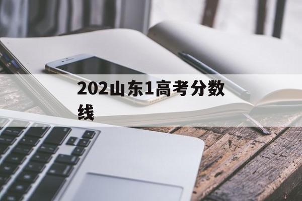 202山东1高考分数线