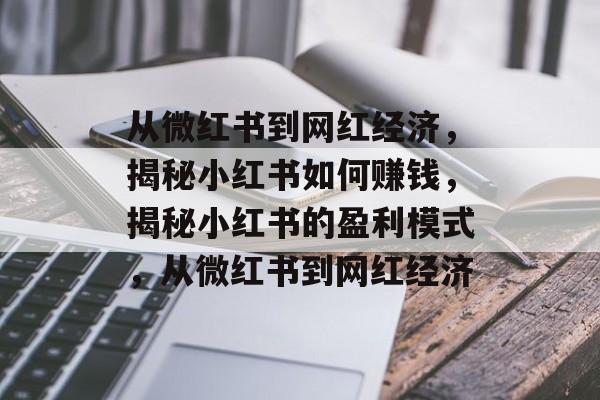 从微红书到网红经济，揭秘小红书如何赚钱，揭秘小红书的盈利模式，从微红书到网红经济