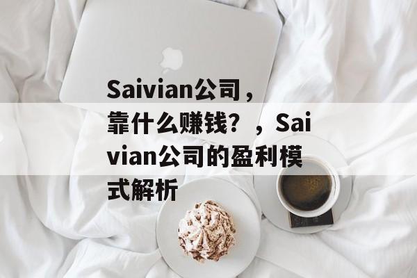 Saivian公司，靠什么赚钱？，Saivian公司的盈利模式解析