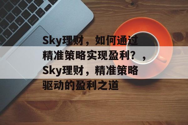 Sky理财，如何通过精准策略实现盈利？，Sky理财，精准策略驱动的盈利之道