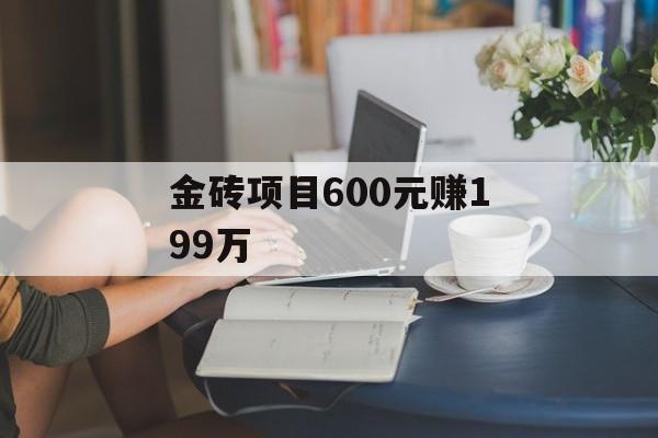 金砖项目600元赚199万