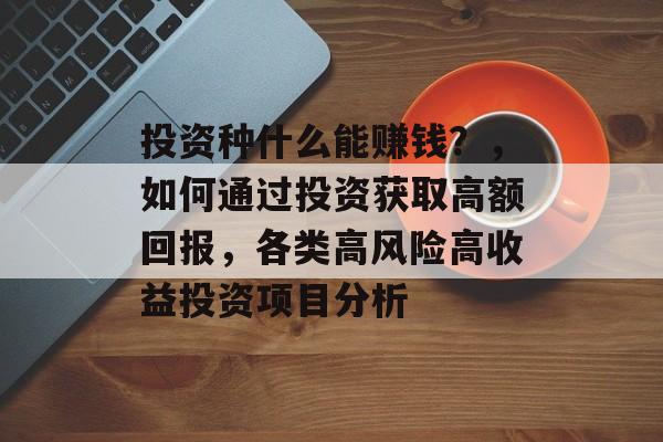 投资种什么能赚钱？，如何通过投资获取高额回报，各类高风险高收益投资项目分析