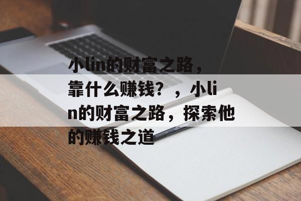 小lin的财富之路，靠什么赚钱？，小lin的财富之路，探索他的赚钱之道