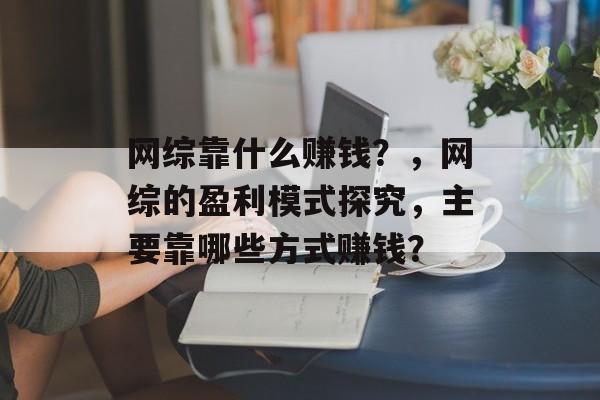 网综靠什么赚钱？，网综的盈利模式探究，主要靠哪些方式赚钱？