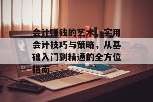 会计赚钱的艺术，实用会计技巧与策略，从基础入门到精通的全方位指南