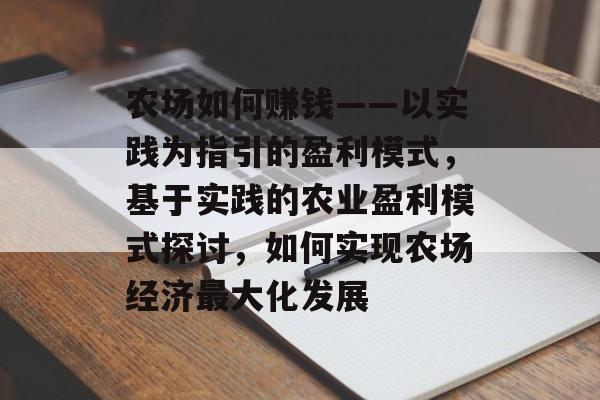 农场如何赚钱——以实践为指引的盈利模式，基于实践的农业盈利模式探讨，如何实现农场经济最大化发展