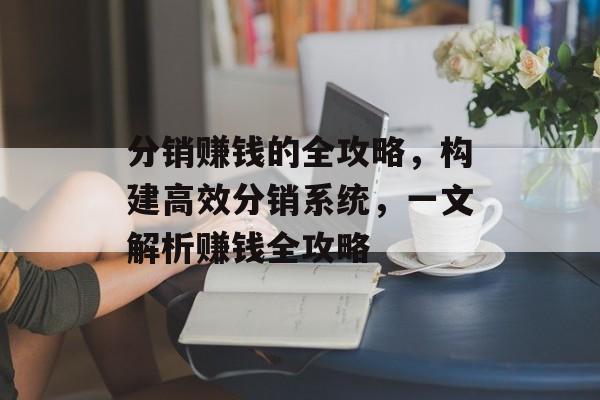 分销赚钱的全攻略，构建高效分销系统，一文解析赚钱全攻略