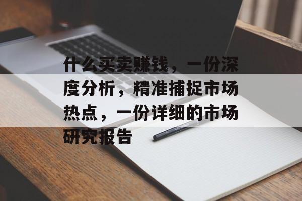 什么买卖赚钱，一份深度分析，精准捕捉市场热点，一份详细的市场研究报告