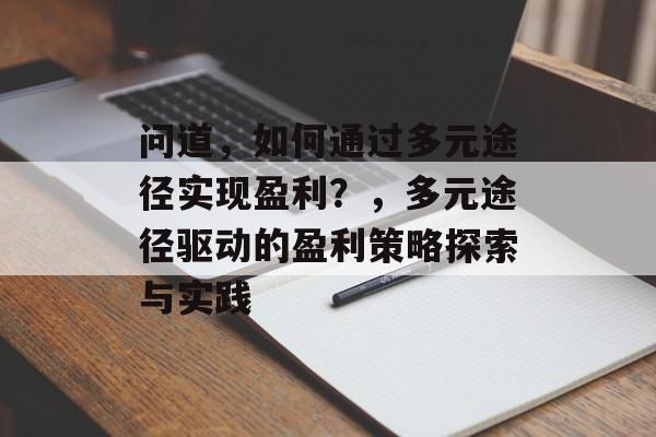 问道，如何通过多元途径实现盈利？，多元途径驱动的盈利策略探索与实践