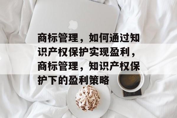 商标管理，如何通过知识产权保护实现盈利，商标管理，知识产权保护下的盈利策略